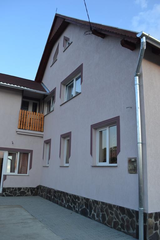 Ersa Panzio Bisericani (Harghita) Exterior photo
