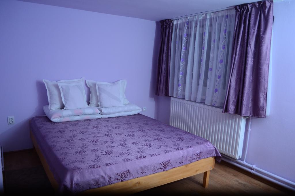 Ersa Panzio Bisericani (Harghita) Room photo