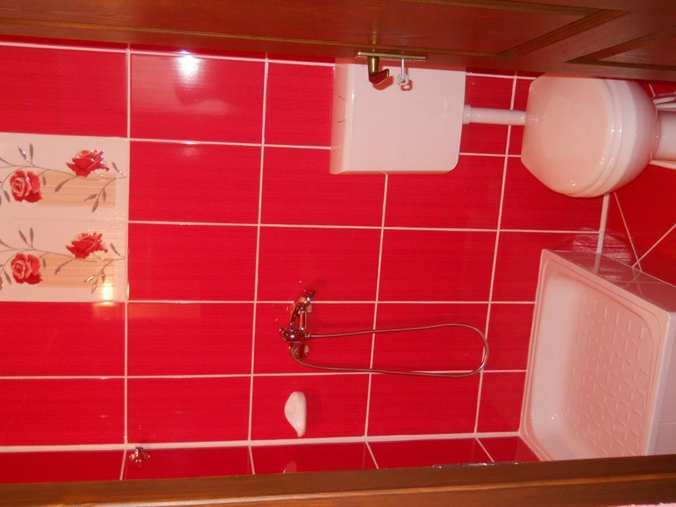 Ersa Panzio Bisericani (Harghita) Room photo