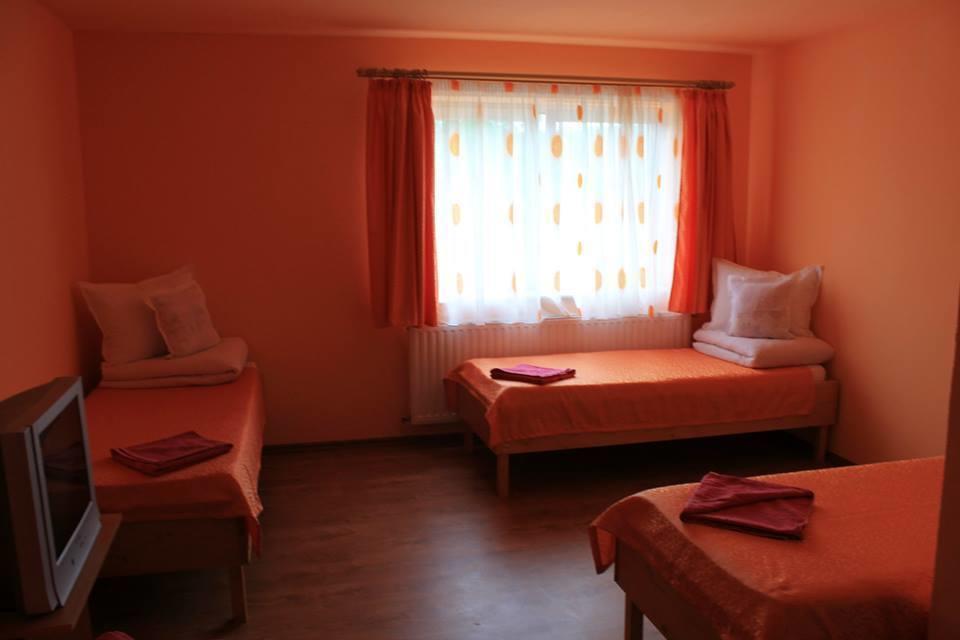 Ersa Panzio Bisericani (Harghita) Room photo